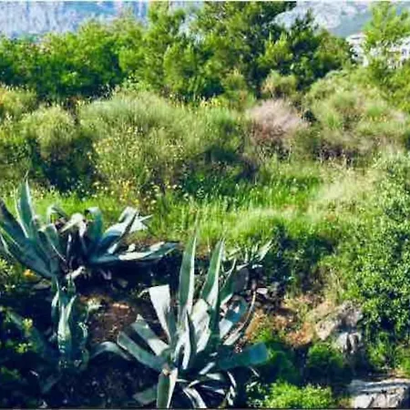 Mila Апартаменти *